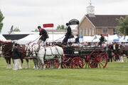 Horse & wagon teams at EofES 2010 - IMG 0144