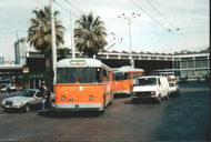 Mk Neapel Trolleybus