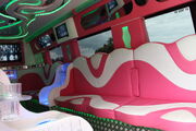 Mercedes-Benz based party bus at Powderham castle 11 - IMG 5970