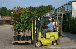 2008-07-26 Clark GCS-15 forklift transporting potted trees