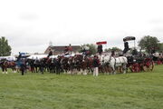 East of England Show - prize presentation - working horses and wagons - IMG 0148