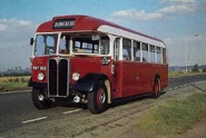 1953 AEC Regal.jpg (273 KB)
