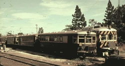 Model 55 and Model 75 Brill Railcars stand at Adelaide, South Australia, in 1962