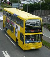 Transdev Yellow Buses 114 top
