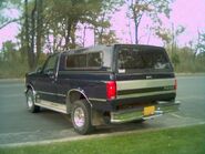 1994 F-150, Rear View