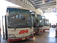 Marcopolo S.A. luxury coaches at Valladolid, Mexico