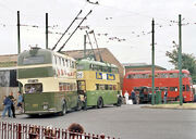 BCLM various trolleybuses