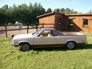 1979 El Camino