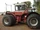 Acremaster