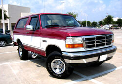 Bronco gibalriz