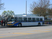 Translink-bus-R7149