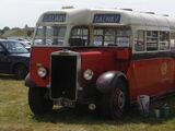 Leyland Tiger (front-engined)