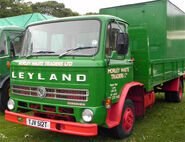 A 1970s LEYLAND Terrier Diesel Lorry 4X2
