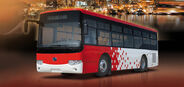 Bonluck JXK6960G bus