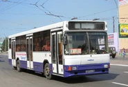 Shuttle Bus NefAZ in Emerovo