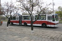 Pyongyang bus