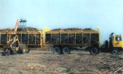 Sugar Cane.png (46 KB) Multidrive Sugar Cane Trailers