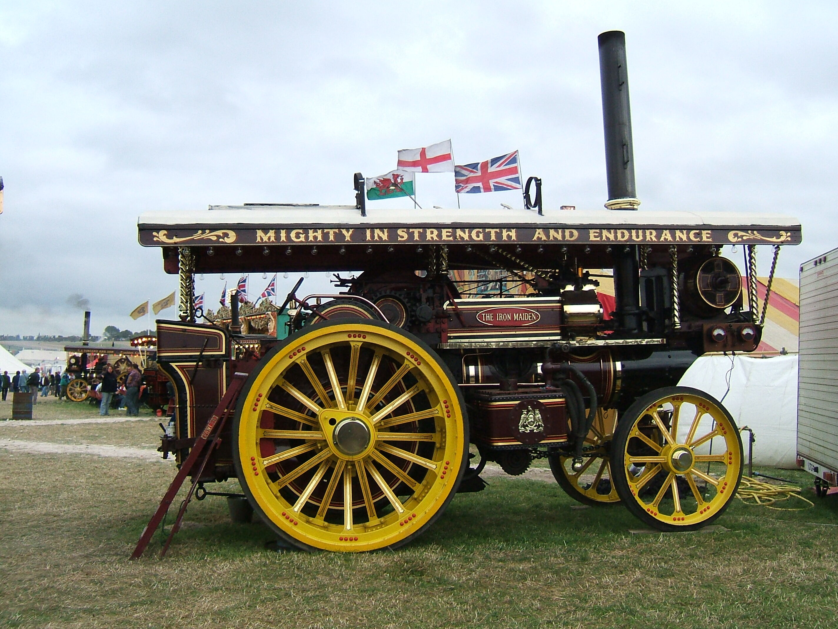showman 31DbDRBcx5L.jpg_BO30,255,255,