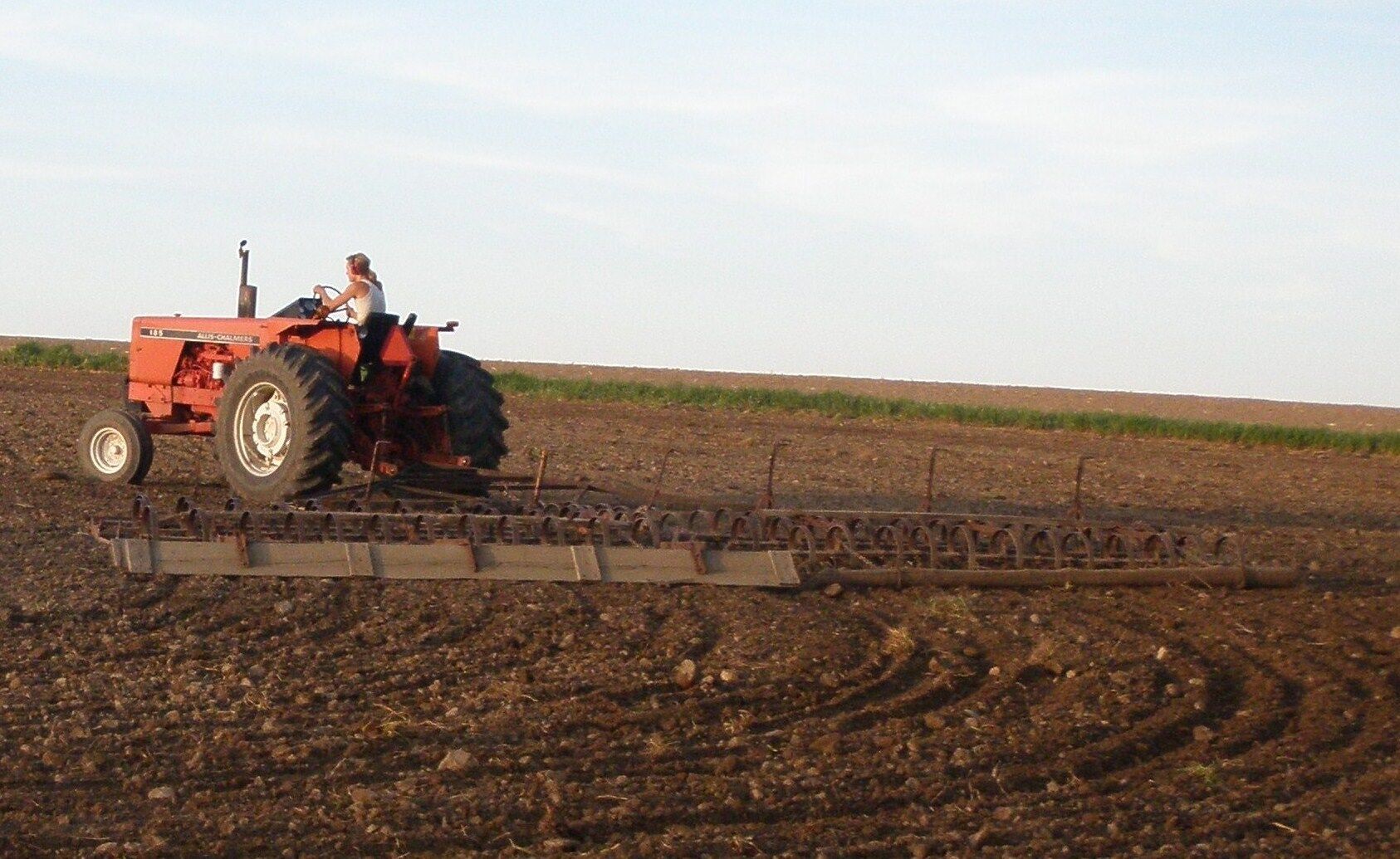 Spring-tooth harrow - Wikipedia