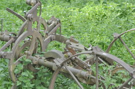 In a field at SE705853 beside footpath from Kirkby Mills, Kirkbymoorside, N. Yorks