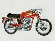 Ducati mach1 800