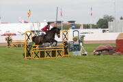 Showjumping at EofES 2010 - IMG 0129