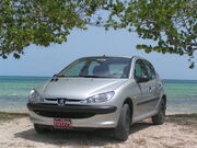 Peugeot 206 groß