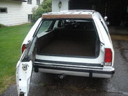 Magic Door Gate as seen on a 1985 LTD Country Squire