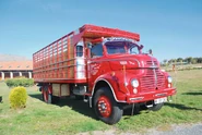 A 1950s LEYLAND Comet Diesel Farmtruck preserved