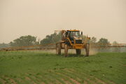 1264 Rogator Spraying Corn