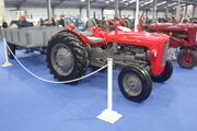 Massey Ferguson 35 and 3 ton trailer - John Gunningham at Newark 08 - IMG 3709