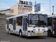 NefAZ-5299 bus in Omsk. Route 136. Str. Budarina. 2010