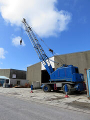 A COLES Celosia Yardcrane Diesel