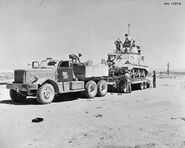 The British Army in North Africa 1942 E15577