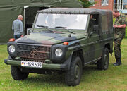 A Wolf of the German Army
