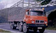 1980s Barreiros 8235 Cargolorry