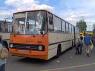 Ikarus280EastBerlin.jpg (1.14 MB) A former East Berlin Ikarus 280.03 articulated city bus on display at Berlin-Lichtenberg depot.