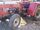 Case IH 585 Orchard Special