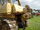 Cat D8H with Winch unit-Driffield-P8100564.JPG
