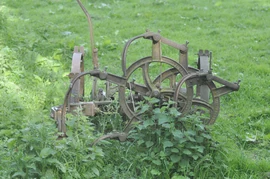 In a field at SE705853 beside footpath from Kirkby Mills, Kirkbymoorside, N. Yorks