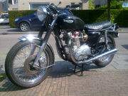 Triumph Bonneville 2