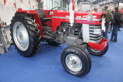 Massey Ferguson 185 of 1975 -Colin White at Newark 08 - IMG 3611