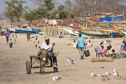 Gambia beach