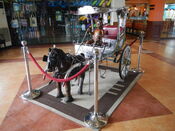Cartela (or "Kartela", a  horse carriage, in art (8 Waves Waterpark & Hotel [1]).