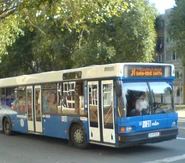 MAZ-103 city bus in Iaşi, Romania