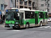 Modern low floor bus
