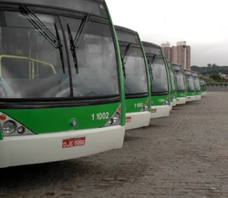 Variosmillennium santabrigida