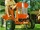 Ariens 1st tractor