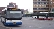 Three different colours on the Ambassador; BBA, Connexxion and Stadsvervoer Nederland