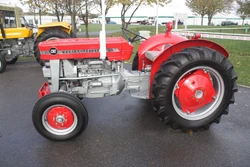 Massey Ferguson 130 - NUD 106F at Newark VS 08 - IMG 3427